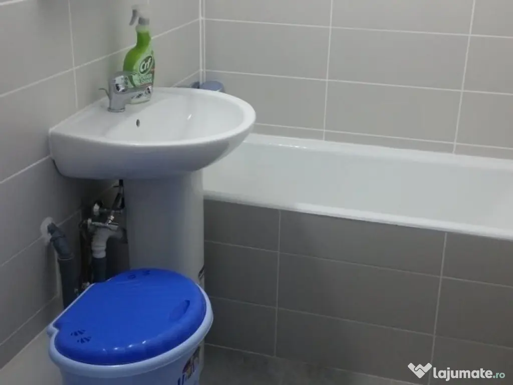 Apartament o camera zona Buziasului 