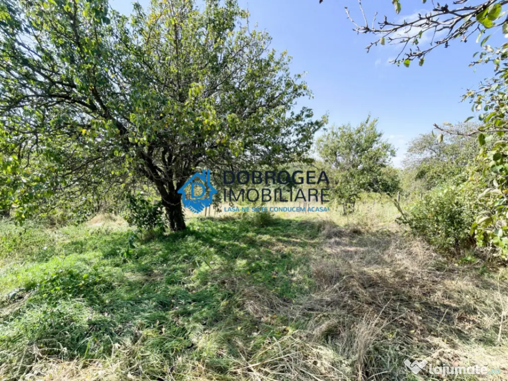 Sat Parches, 2 case individuale, teren 4860 mp 