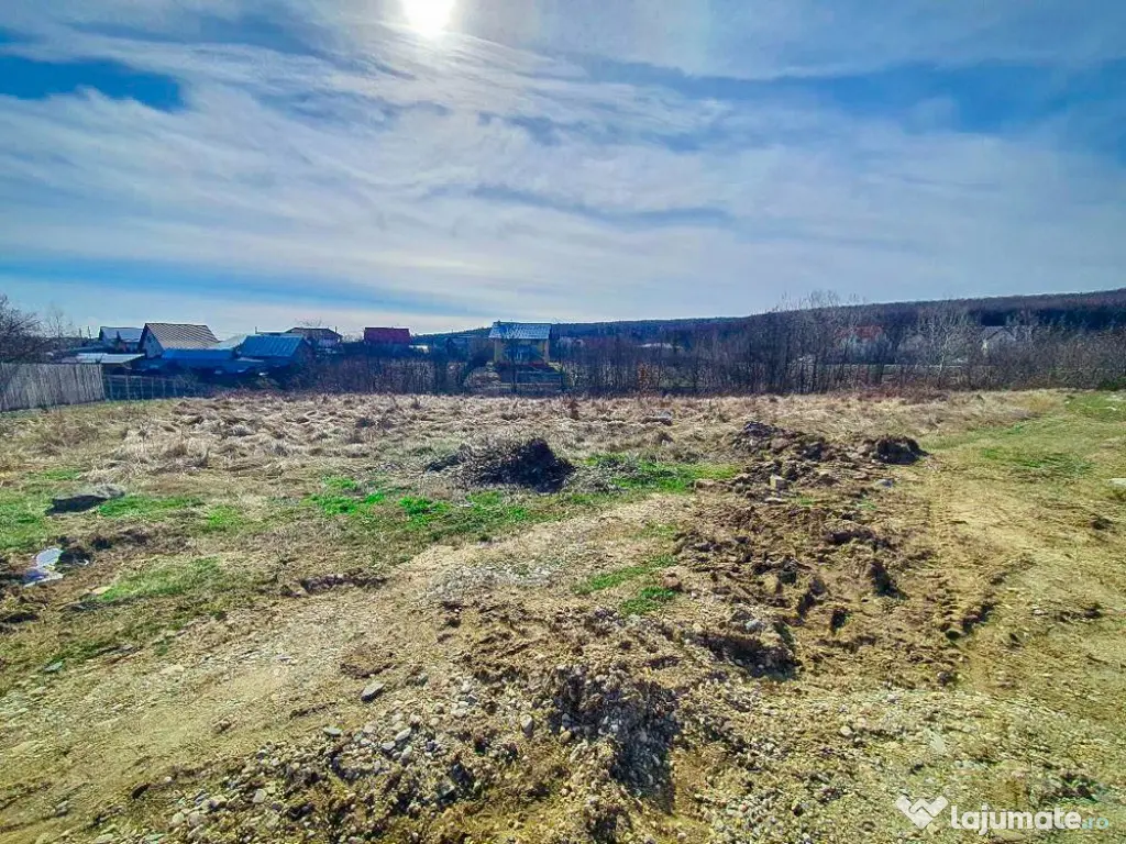 Teren Intravilan Smeura Arges 