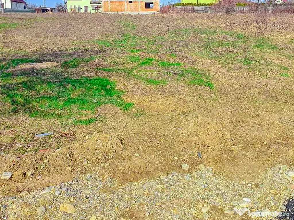 Teren Intravilan Smeura Arges 