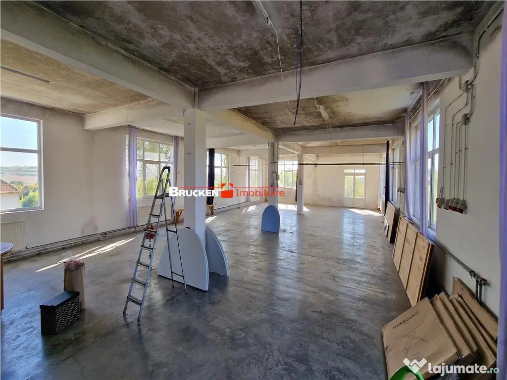 HALA INDUSTRIALA | GHENETEA