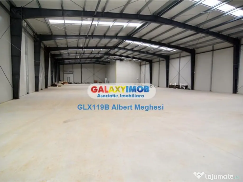 Spatiu Depozitare/Hala Centura-Mogosoaia 