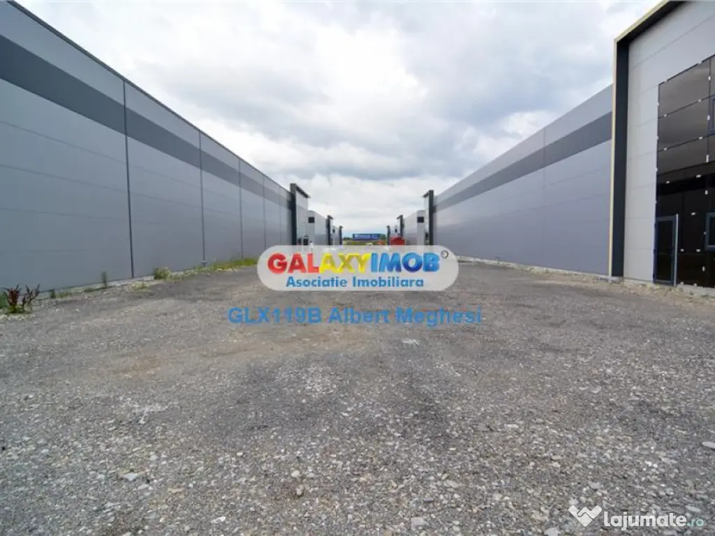 Spatiu Depozitare/Hala Centura-Mogosoaia 