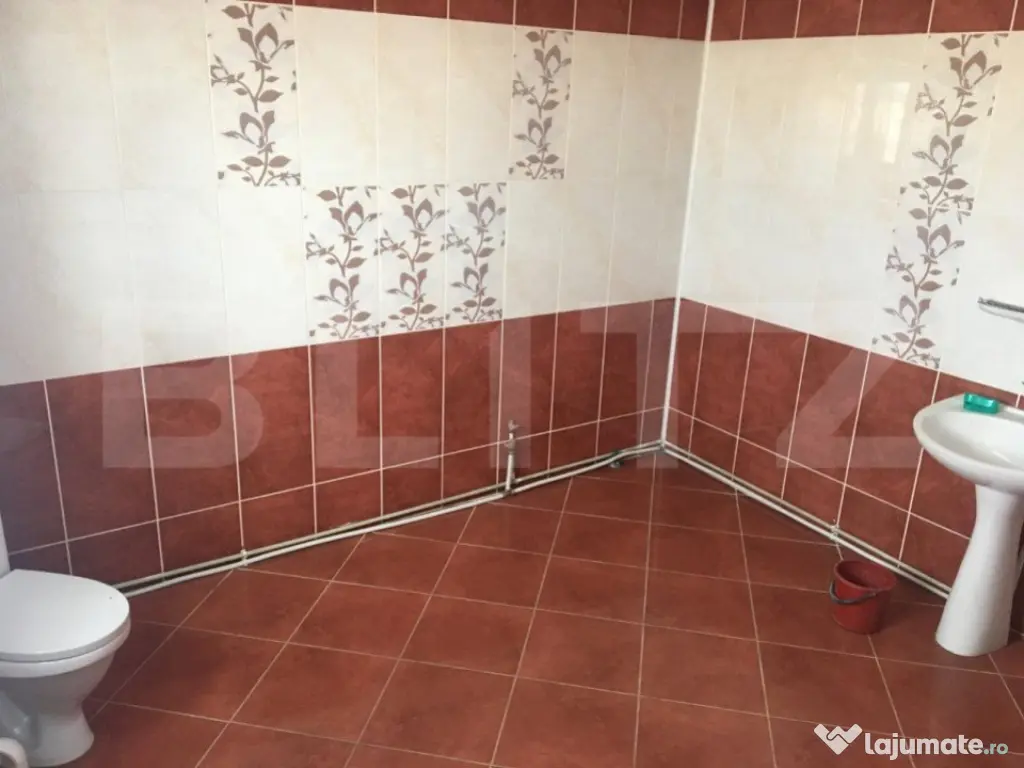 Casă/Vilă individuală deosebită,270mp Târgoviste