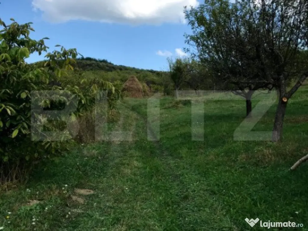 1.07 Ha in Slatinita