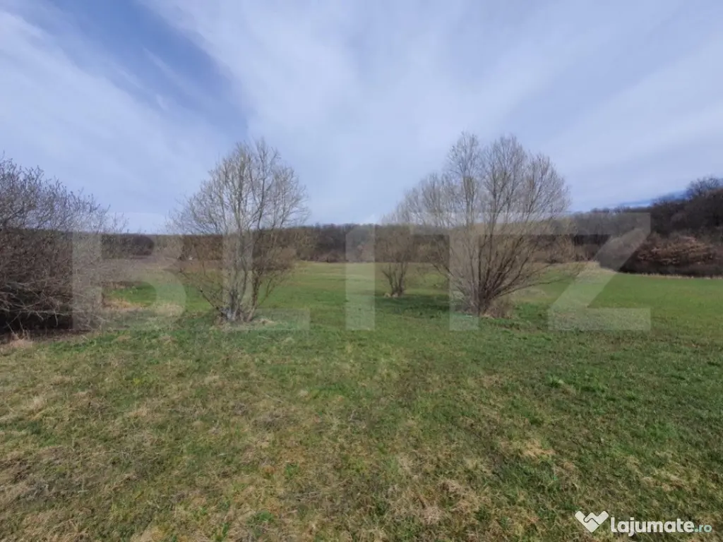 Teren de vanzare extravilan, 1ha, drumul Sigmirului