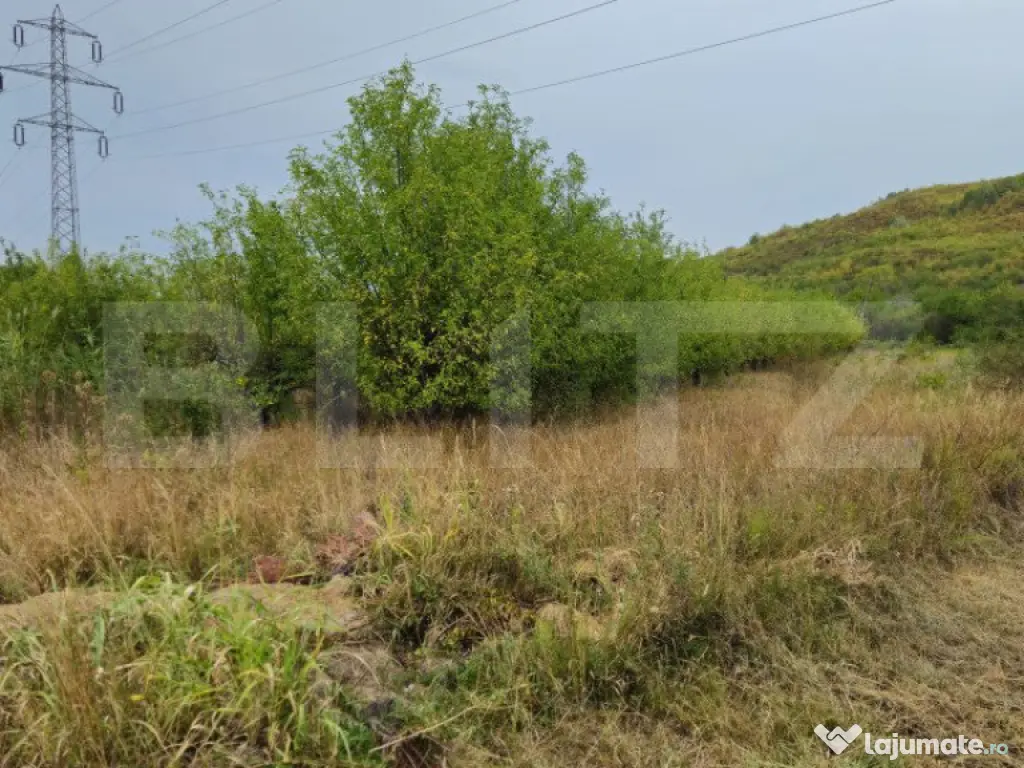 Teren extravilan 17524 mp, expunere sudica, Viforata