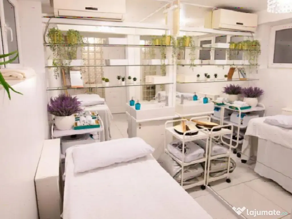 Spatiu stradal soseaua Pantelimon 156 mp 