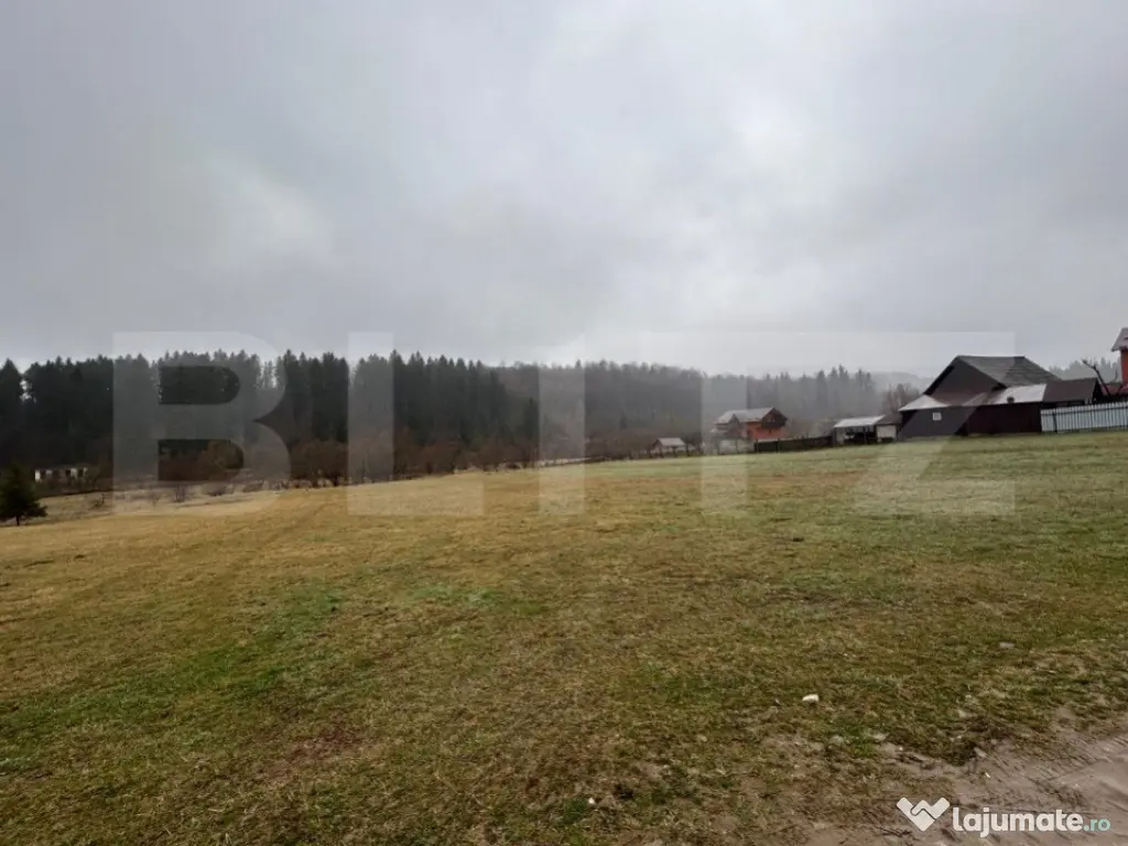 Teren extravilan , 4150 mp , zona de cabane Paltinoasa Sucea