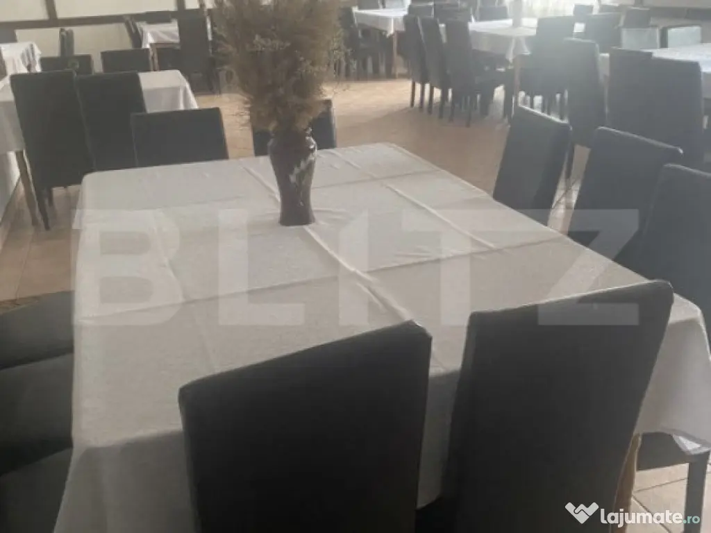 Pensiune + Restaurant + afacere la cheie Broșteni, SV 