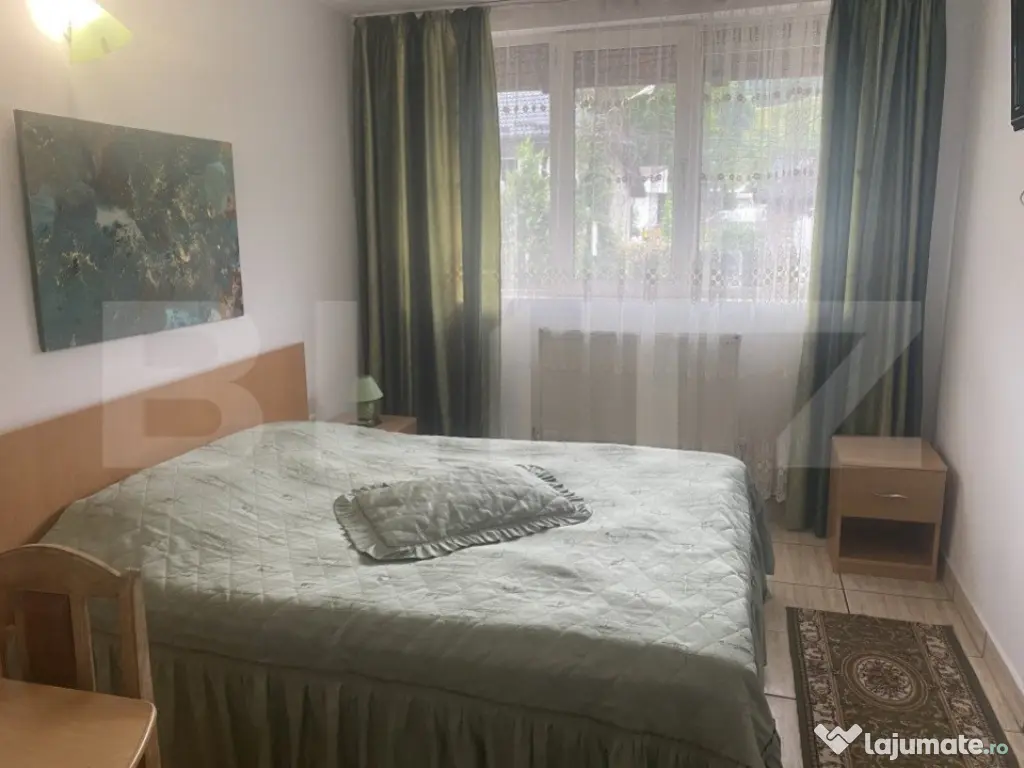 Pensiune + Restaurant + afacere la cheie Broșteni, SV 