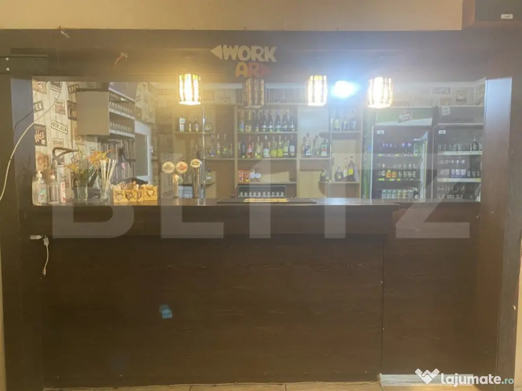 Pensiune + Restaurant + afacere la cheie Broșteni, SV 