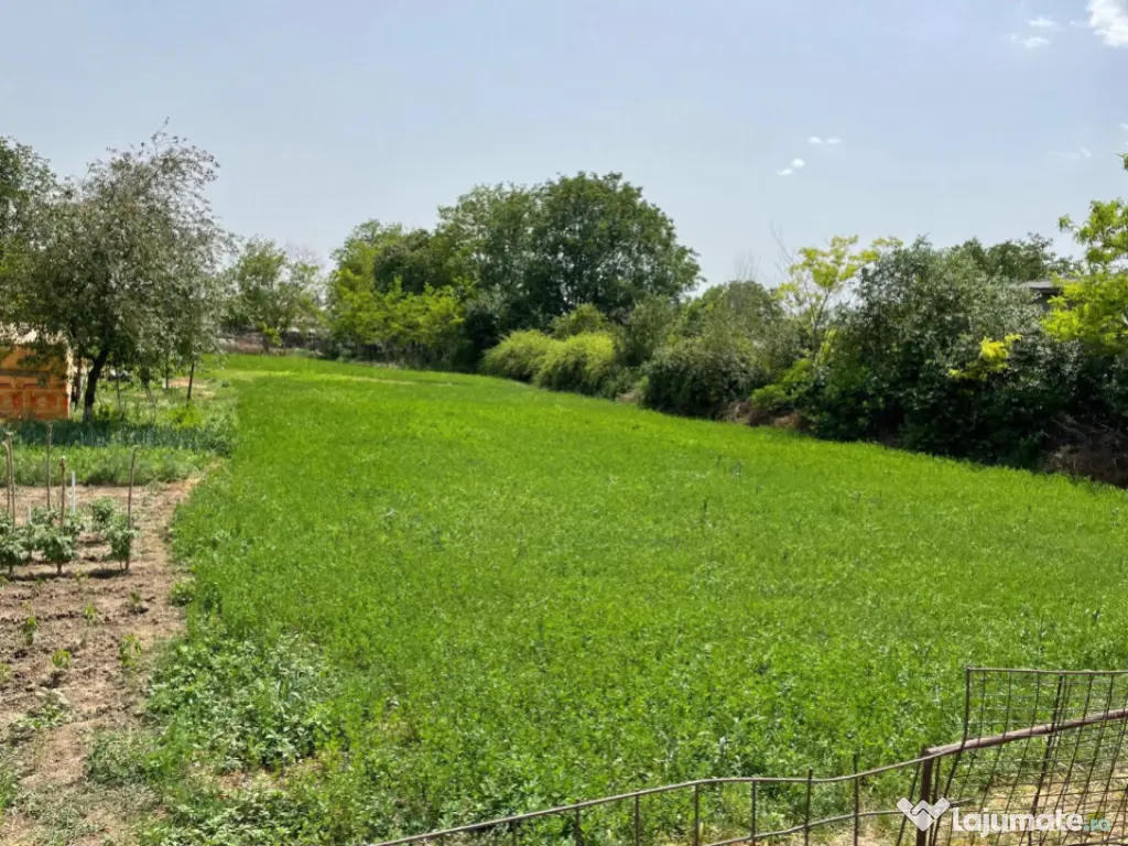 Casă de vanzare, situată in MIHAIL KOGALNICEANU