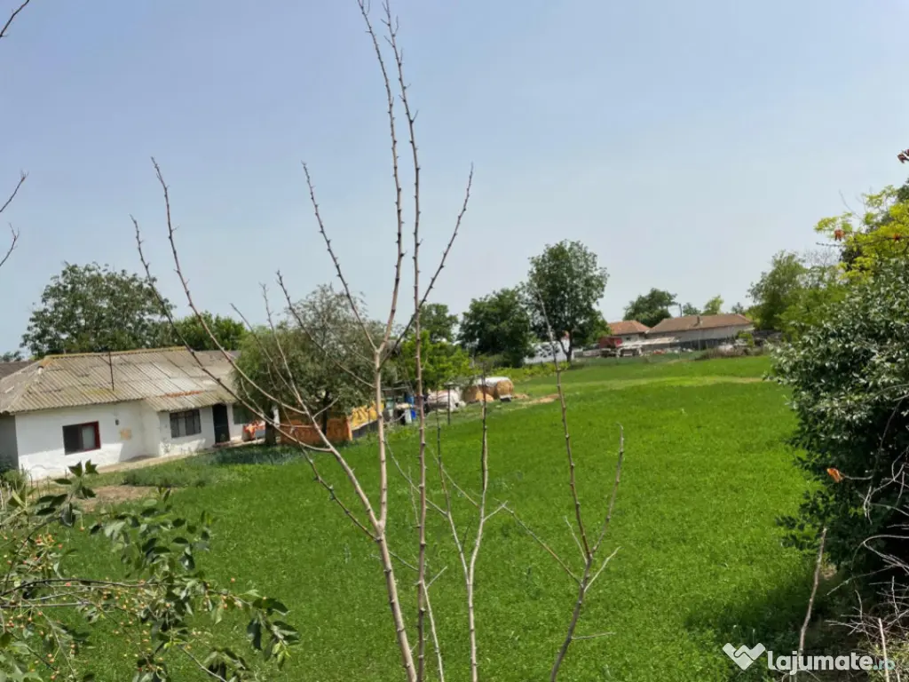 Casă de vanzare, situată in MIHAIL KOGALNICEANU