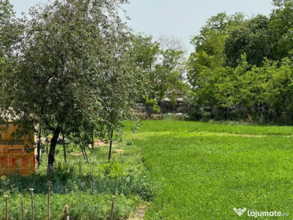 Casă de vanzare, situată in MIHAIL KOGALNICEANU