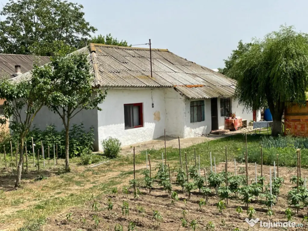 Casă de vanzare, situată in MIHAIL KOGALNICEANU