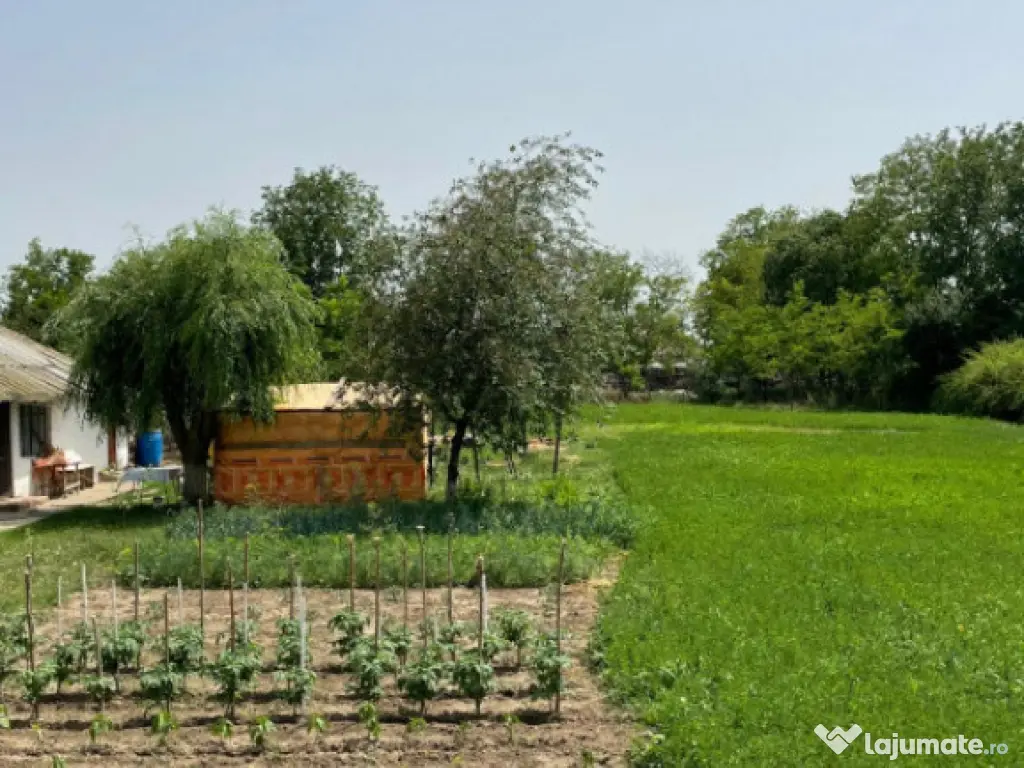 Casă de vanzare, situată in MIHAIL KOGALNICEANU
