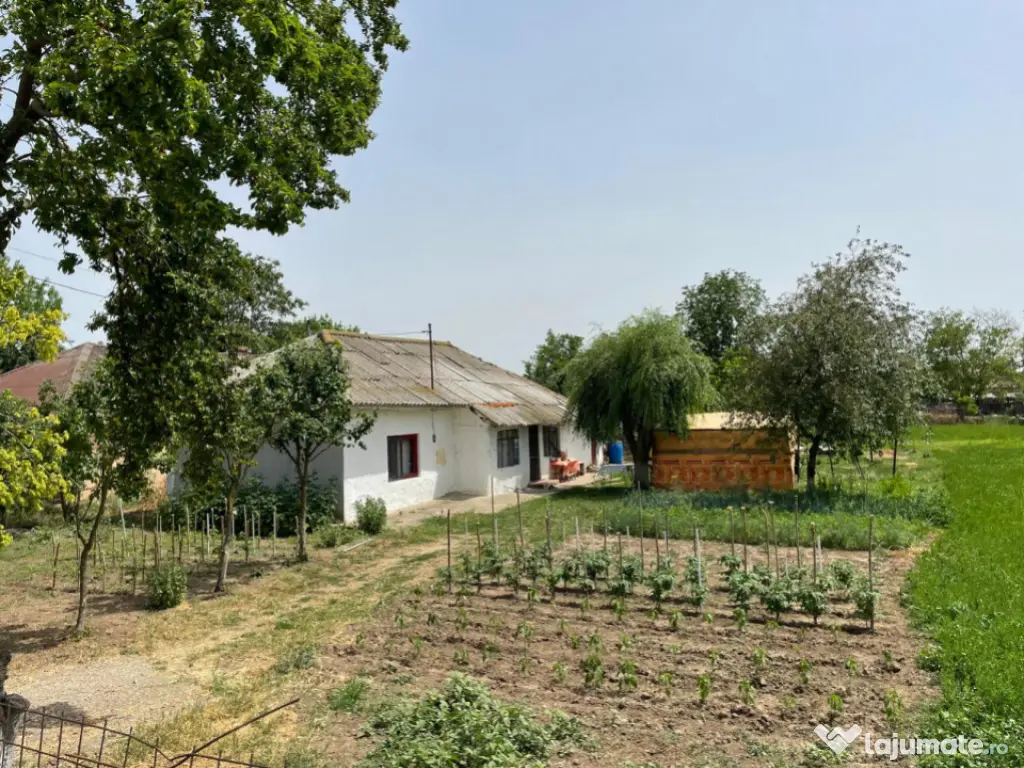 Casă de vanzare, situată in MIHAIL KOGALNICEANU