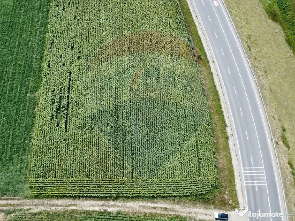 Teren 3,500mp Ilisesti / Strada Principala 