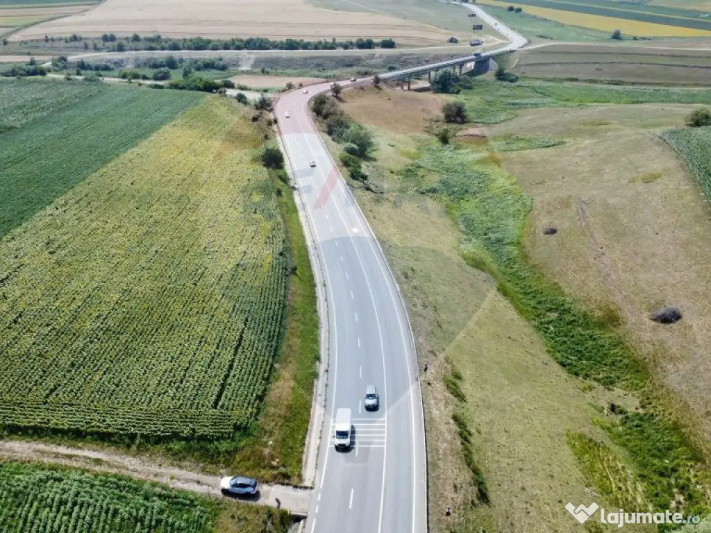 Teren 3,500mp Ilisesti / Strada Principala 