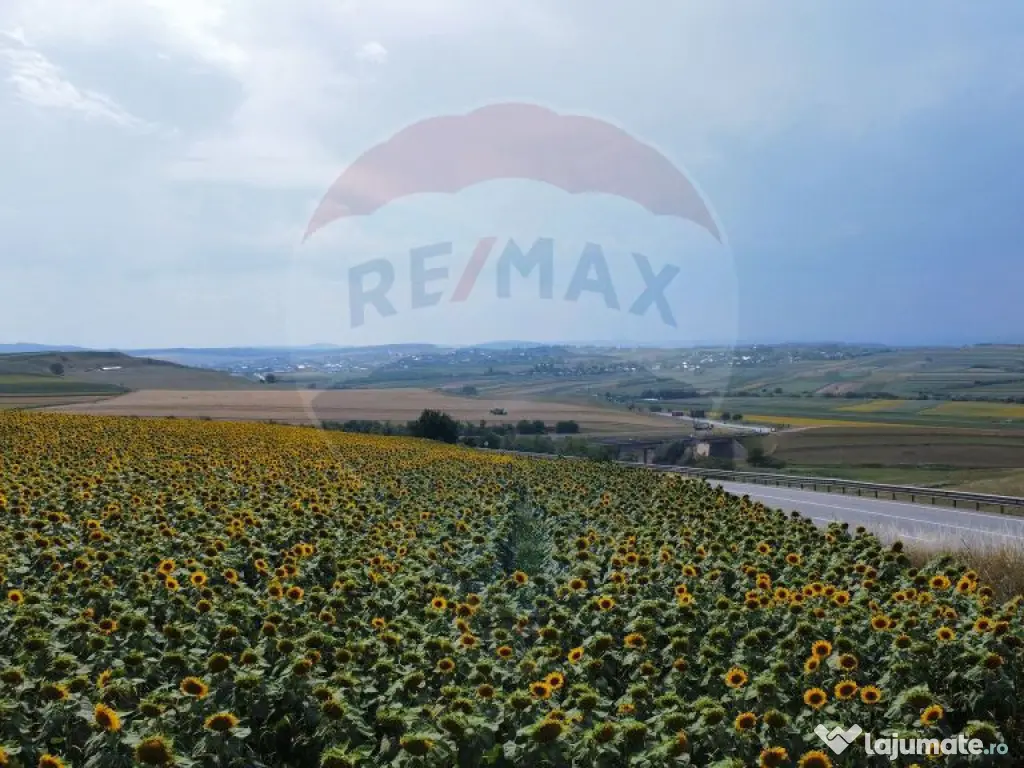 Teren 3,500mp Ilisesti / Strada Principala 