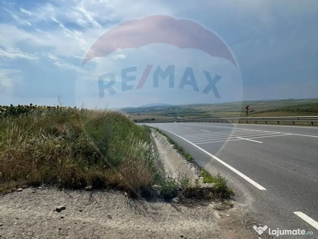 Teren 3,500mp Ilisesti / Strada Principala 