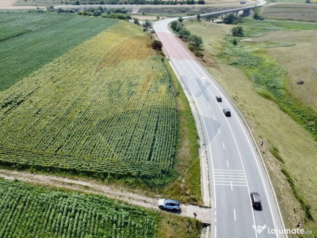 Teren 3,500mp Ilisesti / Strada Principala 