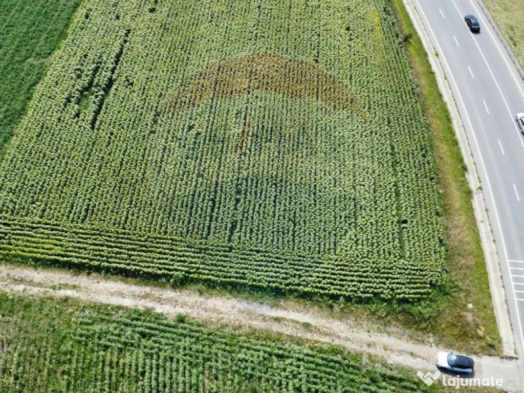 Teren 3,500mp Ilisesti / Strada Principala 