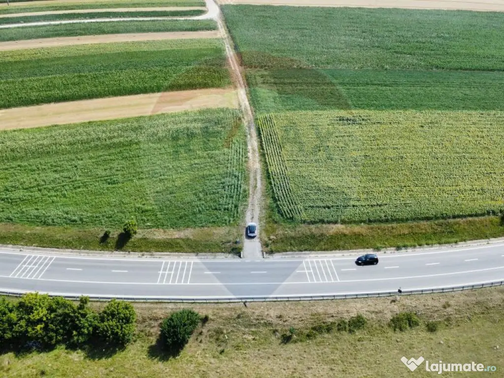 Teren 3,500mp Ilisesti / Strada Principala 