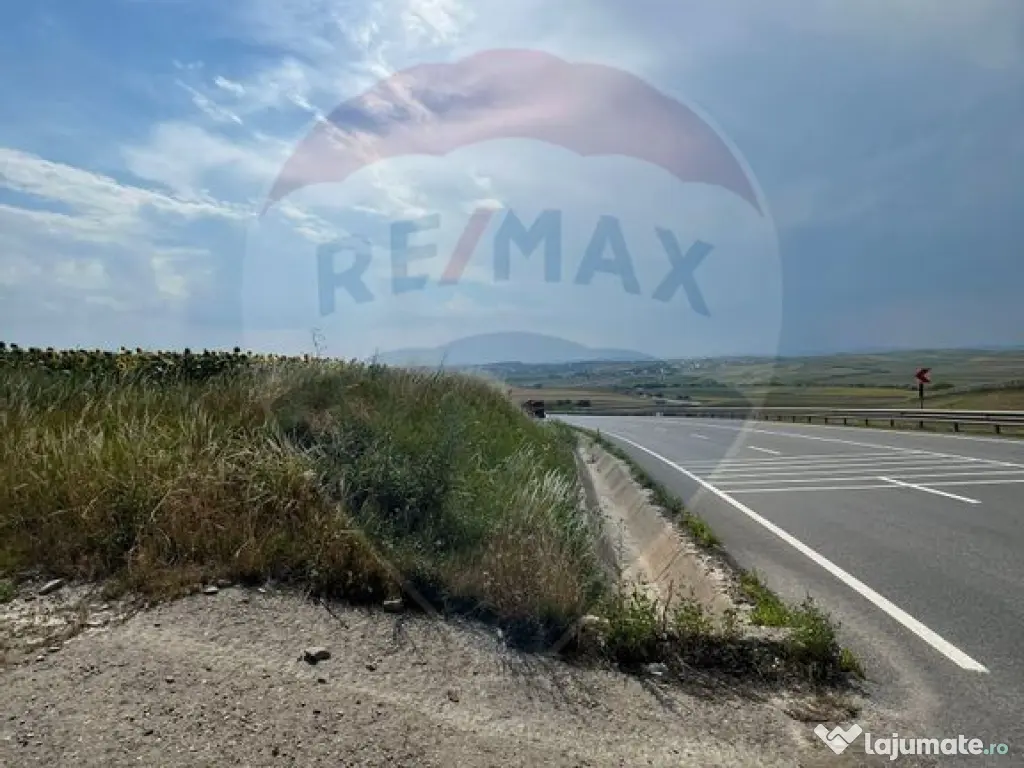 Teren 3,500mp Ilisesti / Strada Principala 