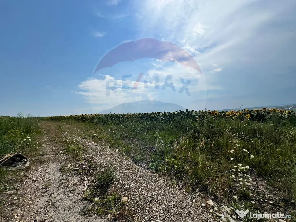 Teren 3,500mp Ilisesti / Strada Principala 