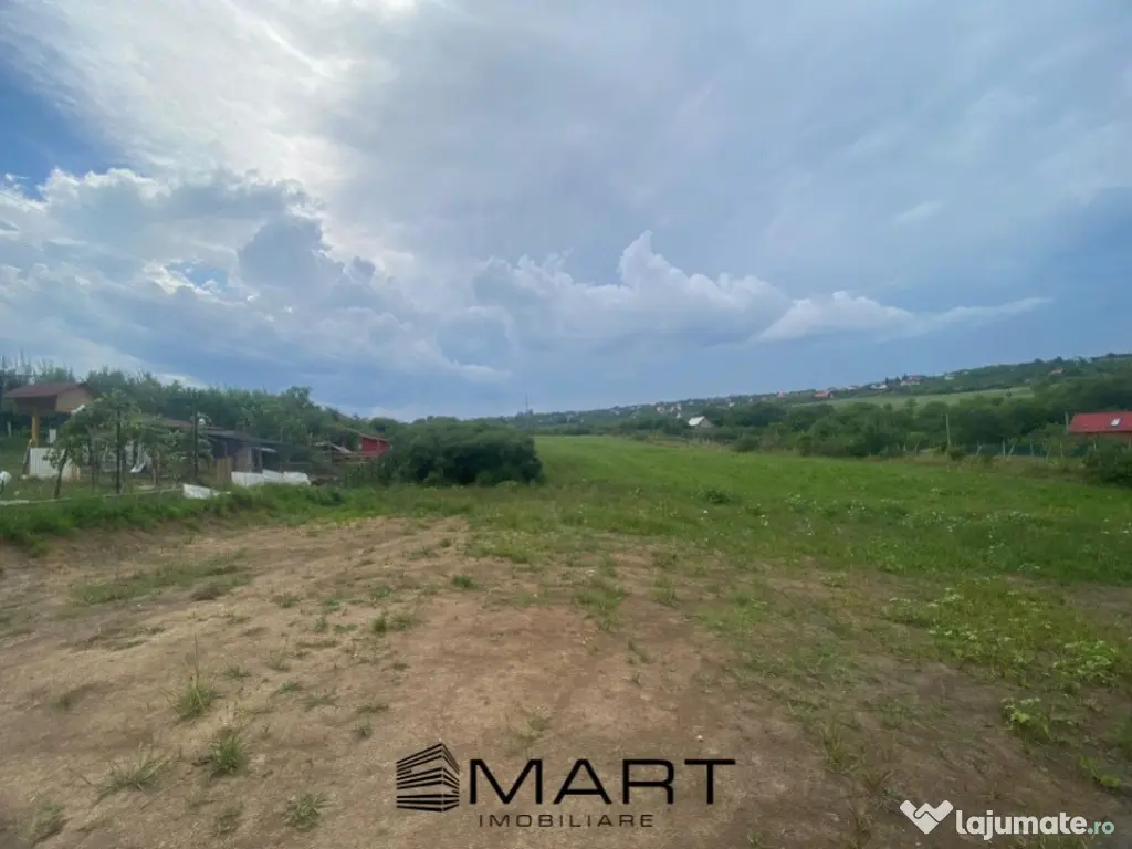 Teren 8000mp Daia noua