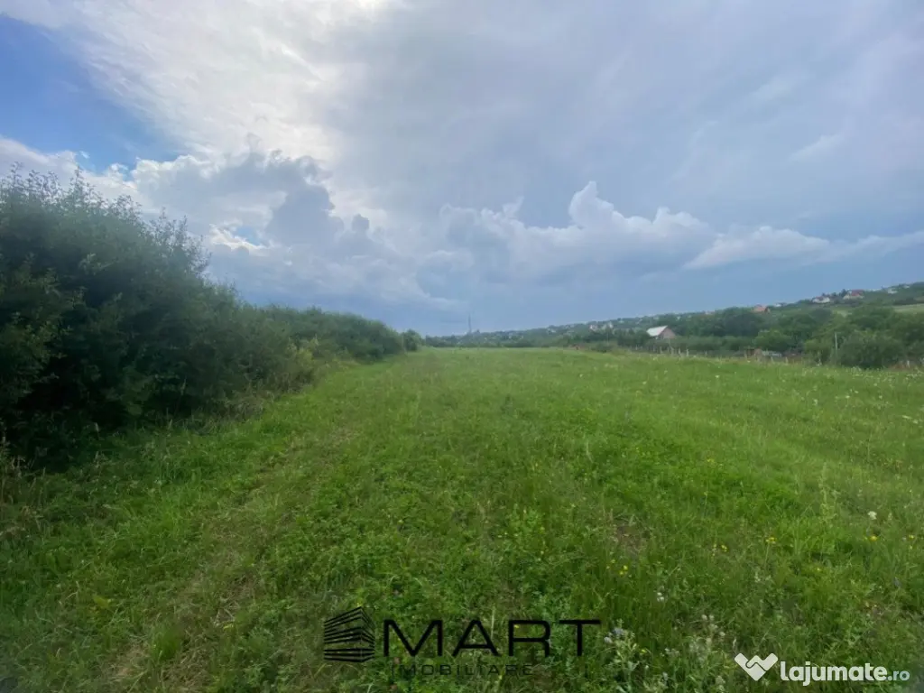 Teren 8000mp Daia noua