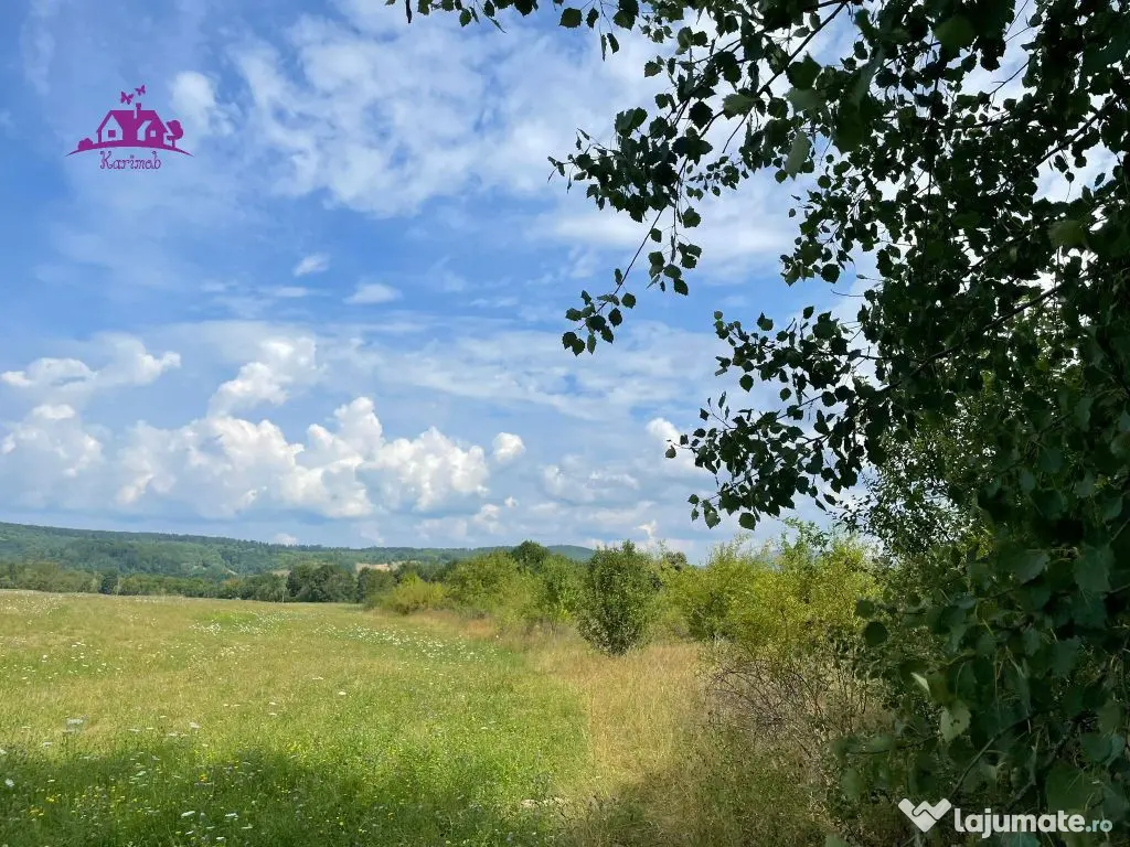 Teren de vanzare in Meziad. 