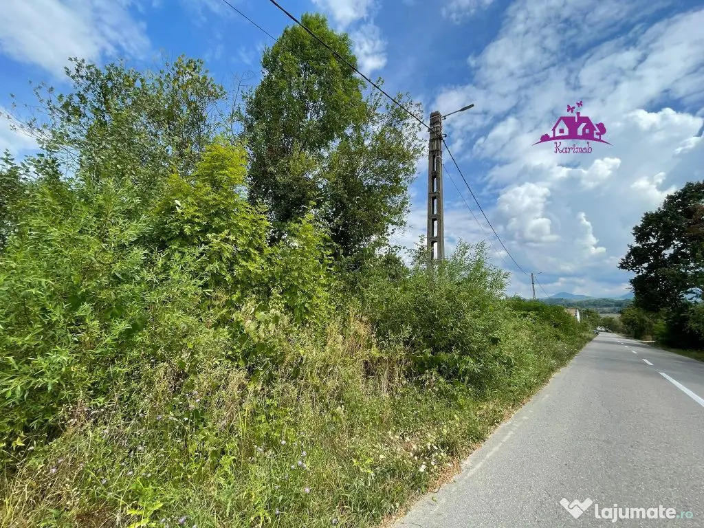 Teren de vanzare in Meziad. 