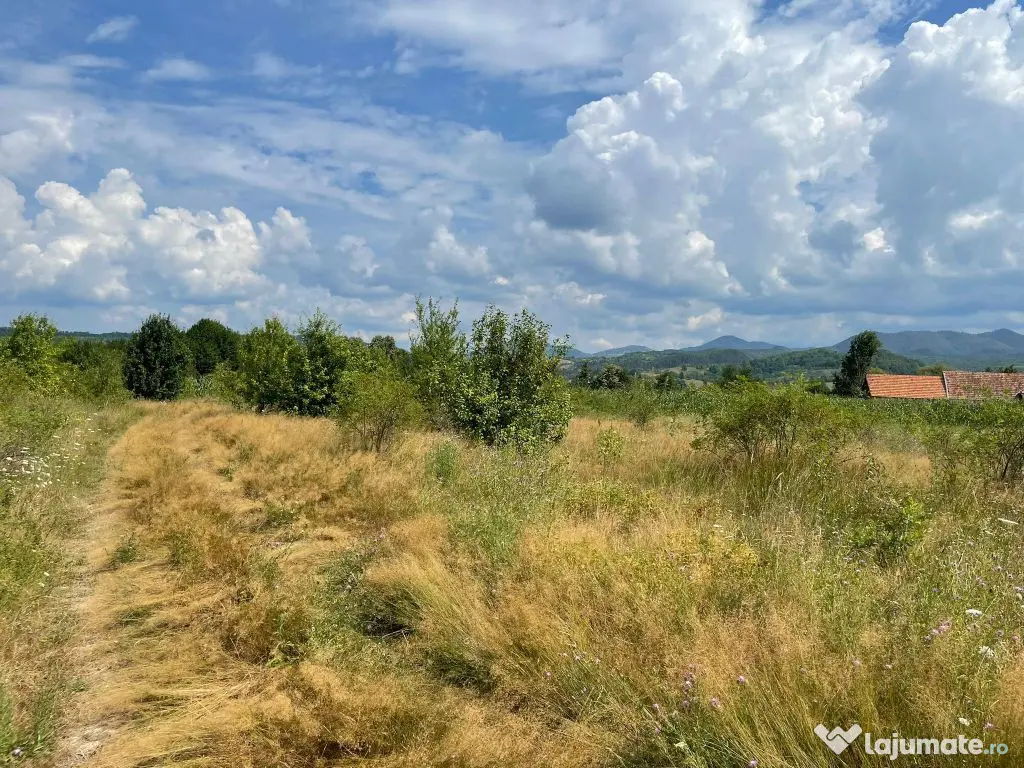 Teren de vanzare in Meziad. 