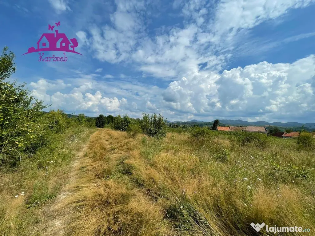 Teren de vanzare in Meziad. 