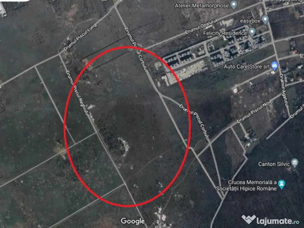 Teren Sisesti Piscu Reghiului 2500 mp New 2026 