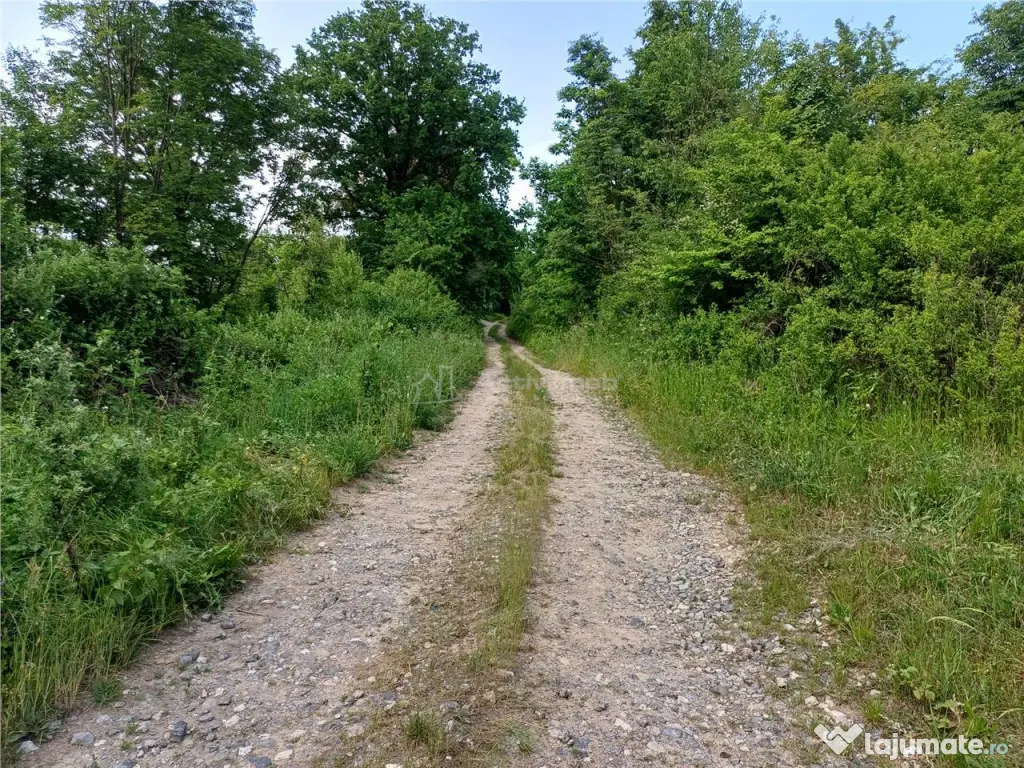 Resita, Teren Drept Intravilan, 11510 Mp., 4 Euro/Mp., Valea 