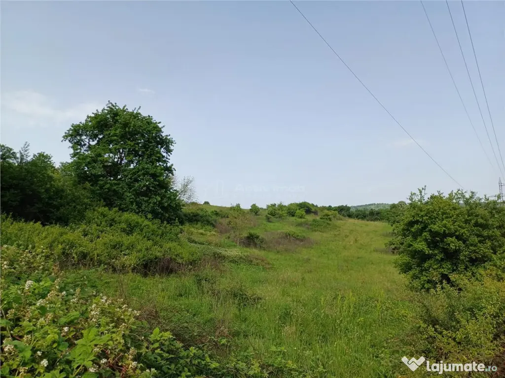 Resita, Teren Drept Intravilan, 11510 Mp., 4 Euro/Mp., Valea 