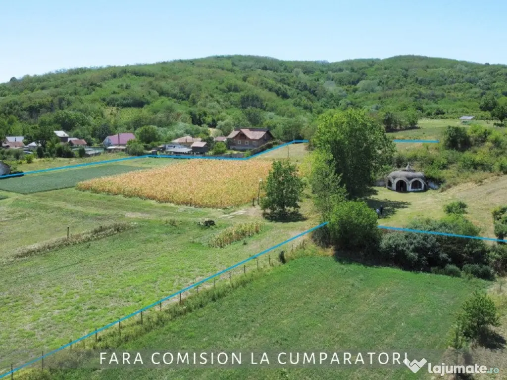 OPORTUNITATE UNICA IN DOMENIUL VITICOL 