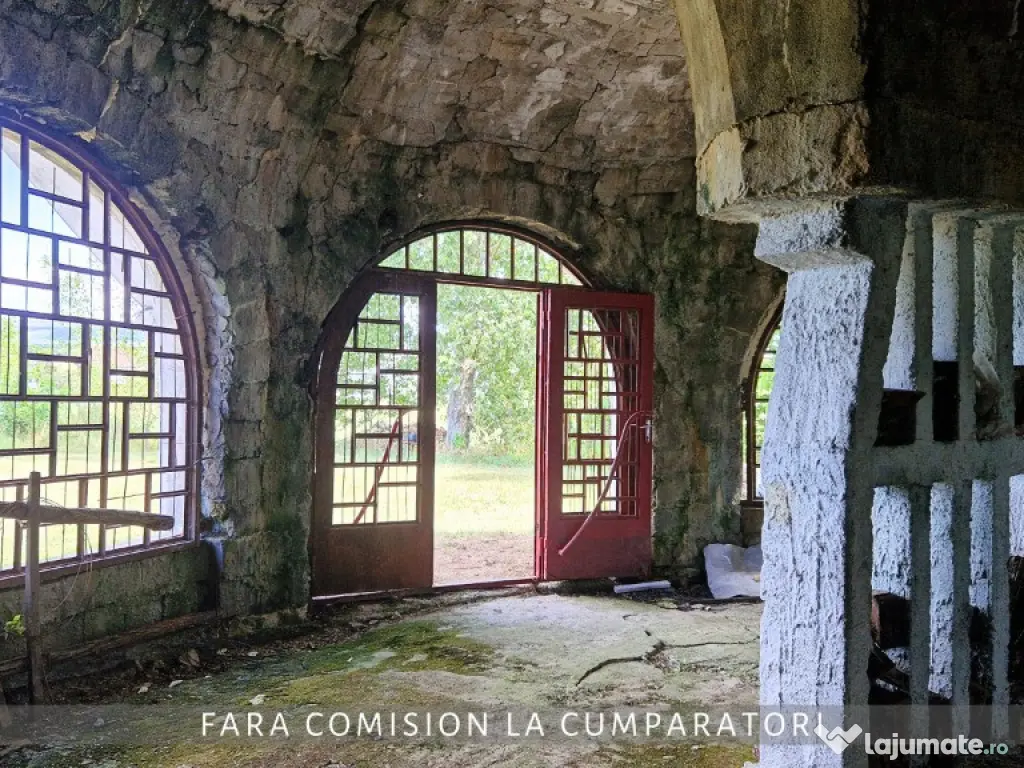 OPORTUNITATE UNICA IN DOMENIUL VITICOL 