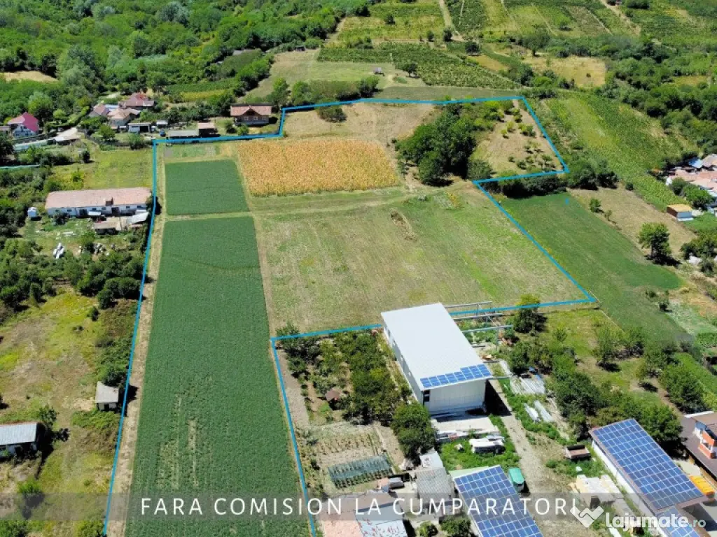 OPORTUNITATE UNICA IN DOMENIUL VITICOL 