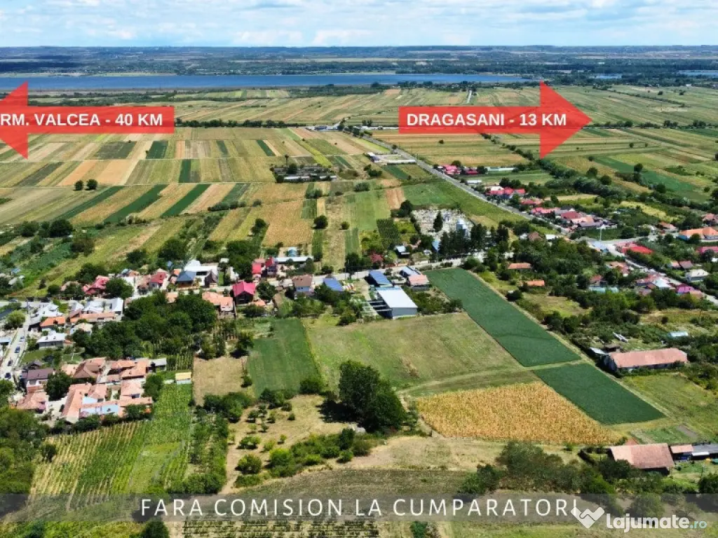 OPORTUNITATE UNICA IN DOMENIUL VITICOL 