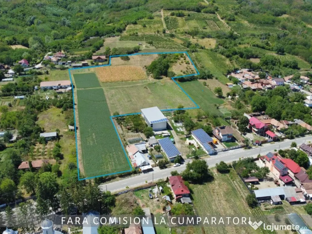 OPORTUNITATE UNICA IN DOMENIUL VITICOL 