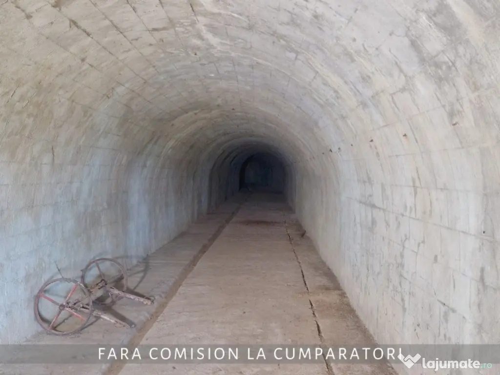 OPORTUNITATE UNICA IN DOMENIUL VITICOL 