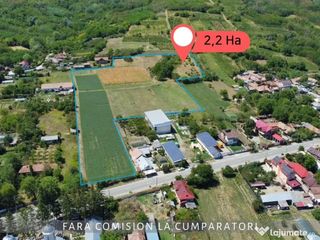 OPORTUNITATE UNICA IN DOMENIUL VITICOL 