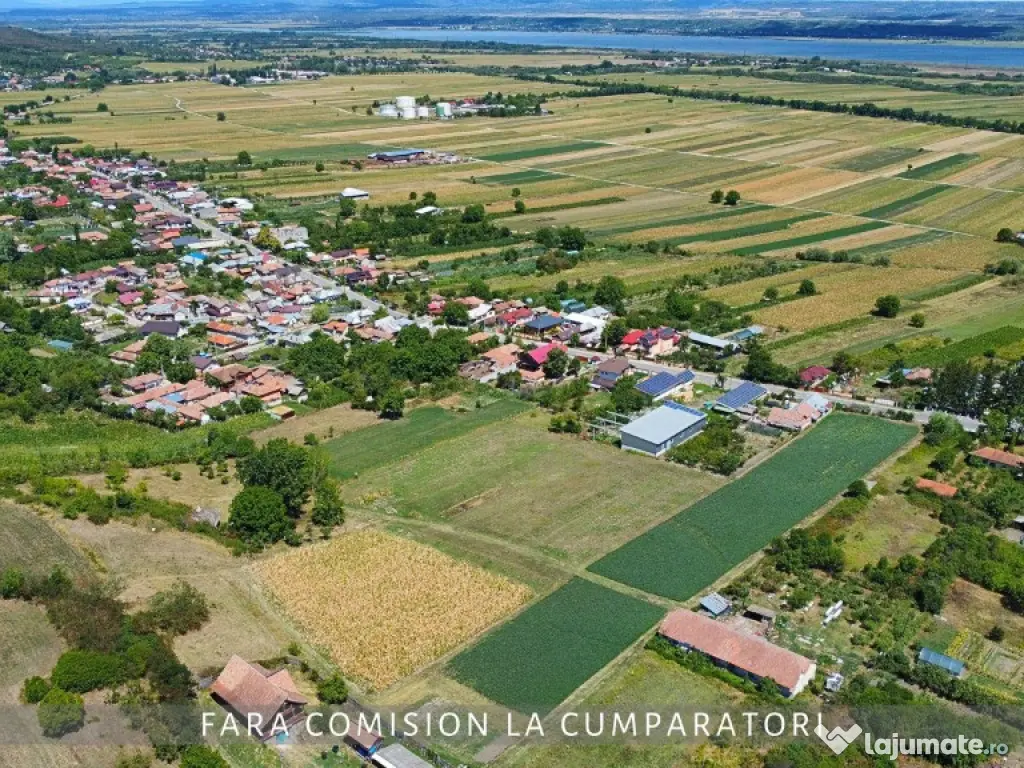 OPORTUNITATE UNICA IN DOMENIUL VITICOL 