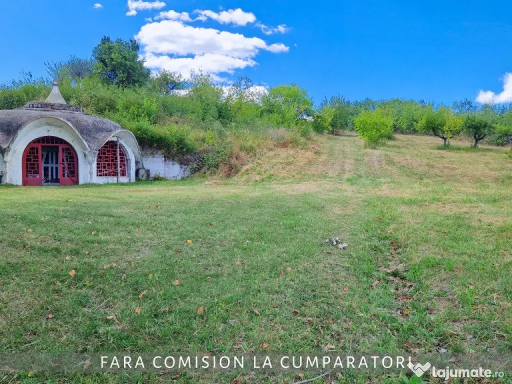 OPORTUNITATE UNICA IN DOMENIUL VITICOL 