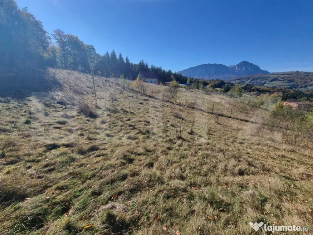 Teren pentru casute de vacanta - Poiana Marului - vedere la